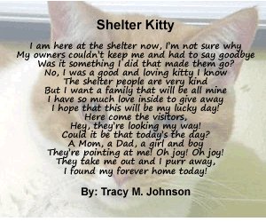 Second Chance Animal Shelter, Inc. | Adoptable Cats